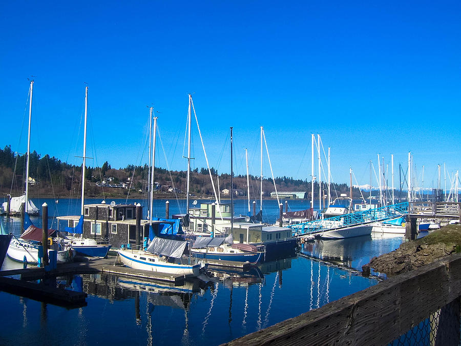 Budd Inlet Olympia WA Photograph by Howard Tenke - Fine Art America