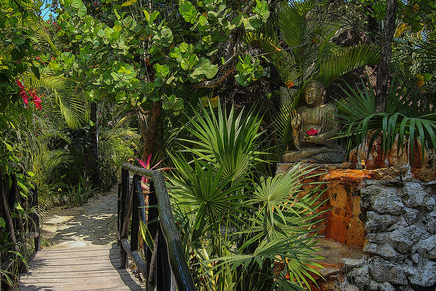 Buddas Garden, Maya Riviera, Mexico Photograph by Robert McKinstry