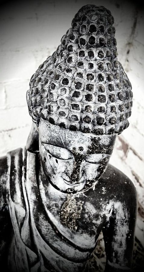 Buddah Photograph - Buddha  by Michele Monk