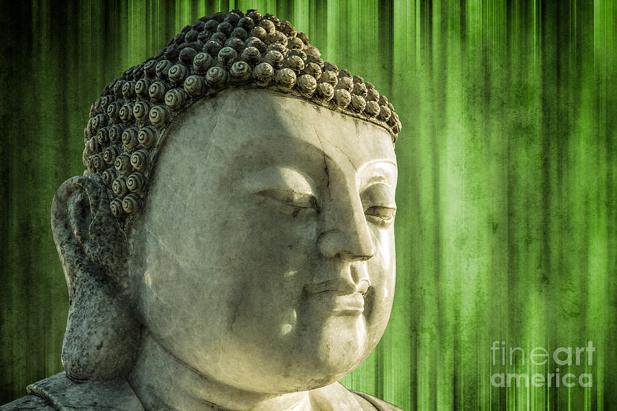 Buddha - bamboo Photograph by Hannes Cmarits