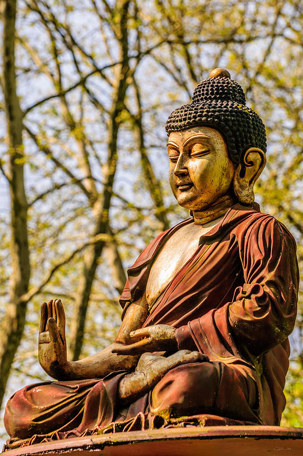 buddha siddhartha