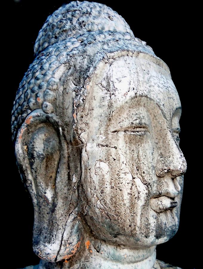 Buddha 3 Photograph by Ron Kandt
