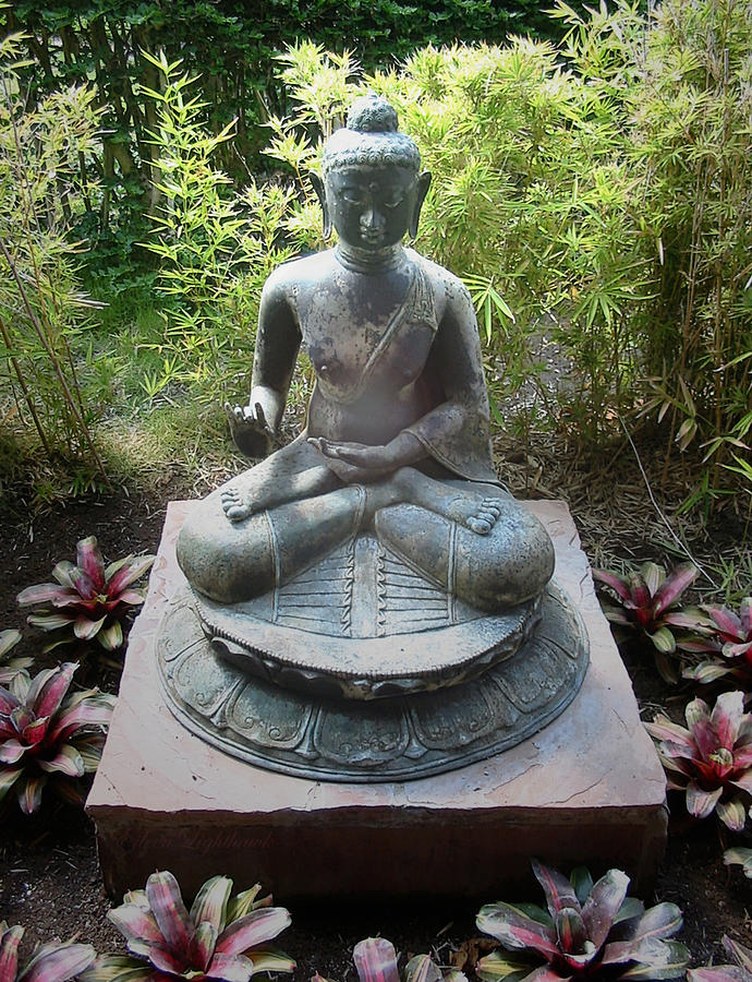 Buddha and Bamboo Photograph by Eileen Lighthawk