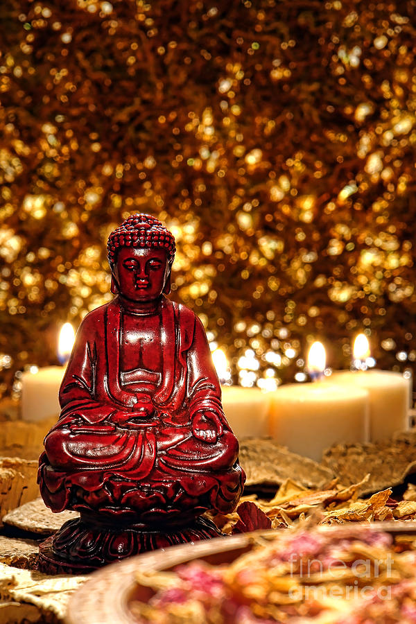 Buddha Photograph - Buddha and Candles by Olivier Le Queinec