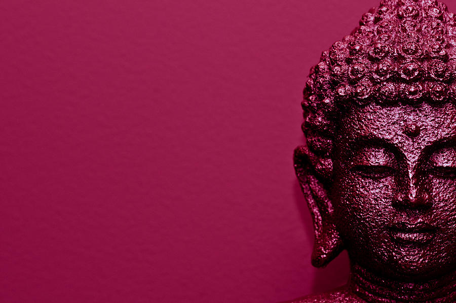 Buddha candy Photograph by by Jonathan Fife