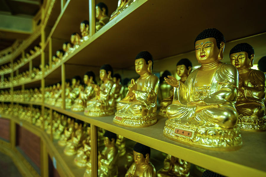 Buddha Photograph - Buddha Collection Underneath The Golden by Michael Runkel