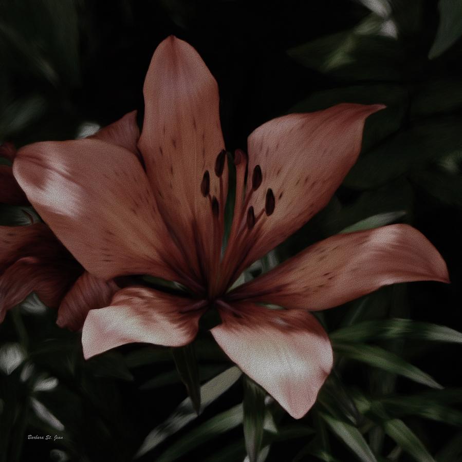 Flowers Still Life Photograph - Buddha Delight Daylily  by Barbara St Jean