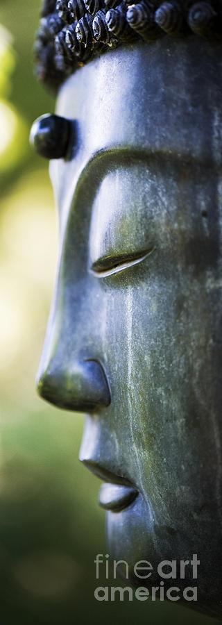 Buddha Face Photograph by Tim Gainey