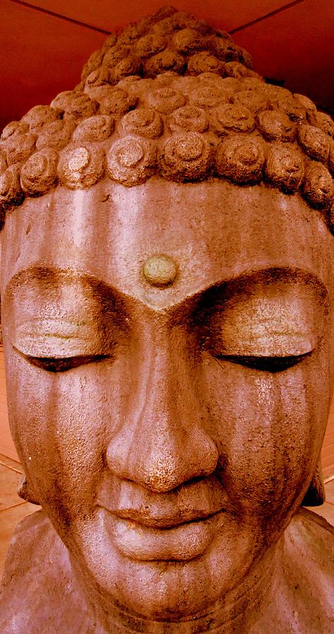 Buddha Faces 1 Photograph by Ron Kandt