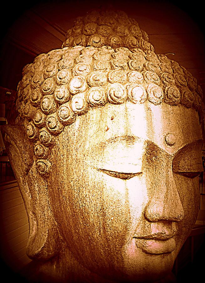 Buddha Faces 3 Photograph by Ron Kandt