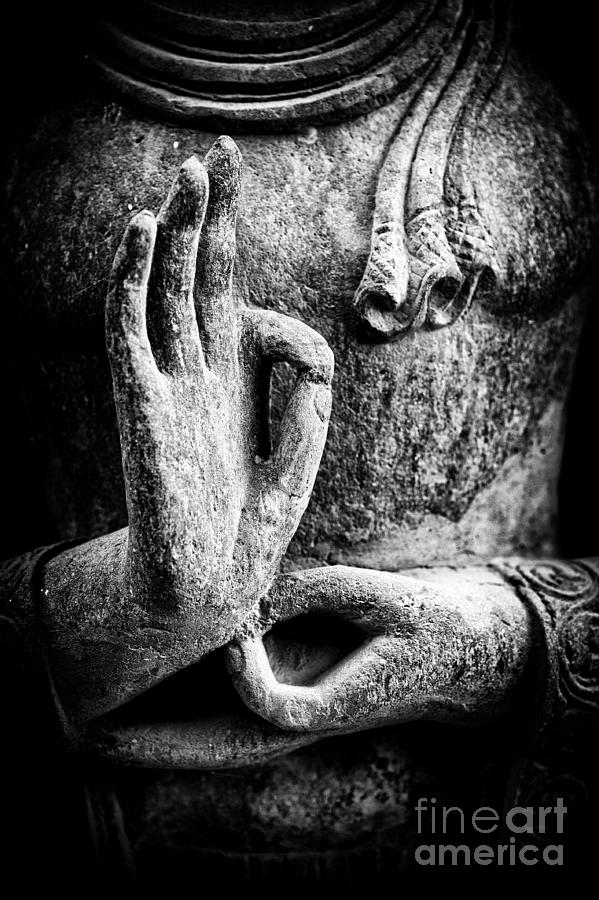 Buddha Photograph - Buddha Hand Mudra by Tim Gainey