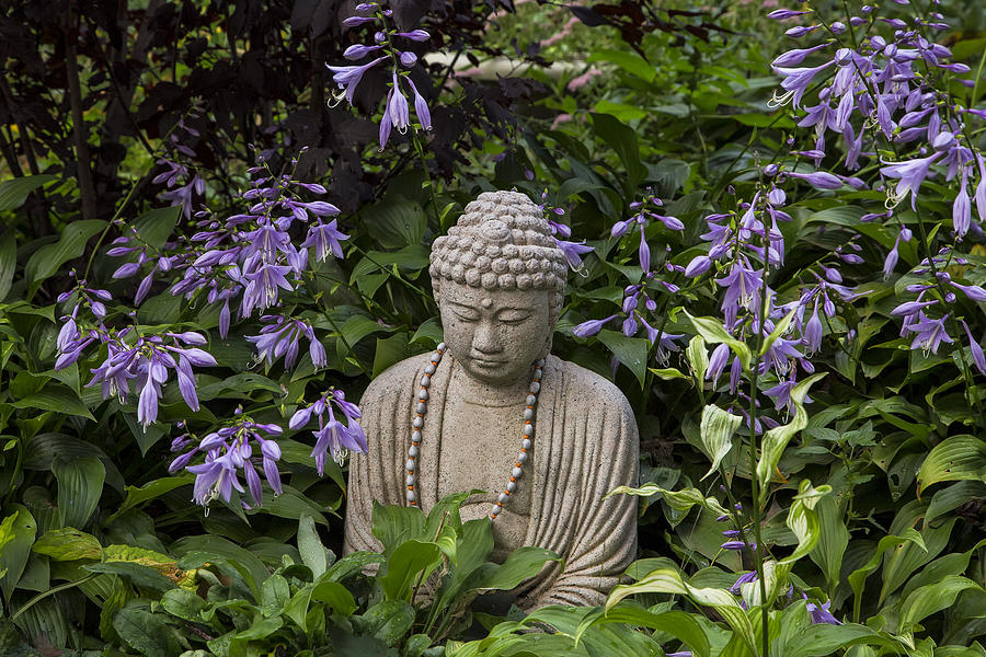 Buddha In The Garden Photograph by Tom Singleton