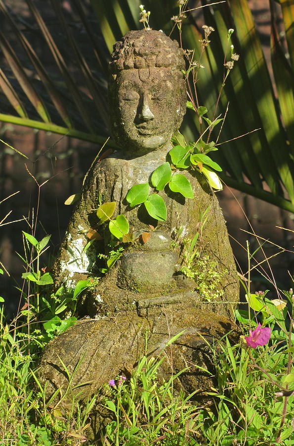 Buddha in Vines Photograph by Julia Rubin - Pixels