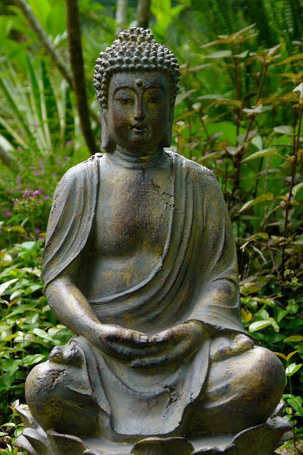 Buddha Photograph by Keith Hawley