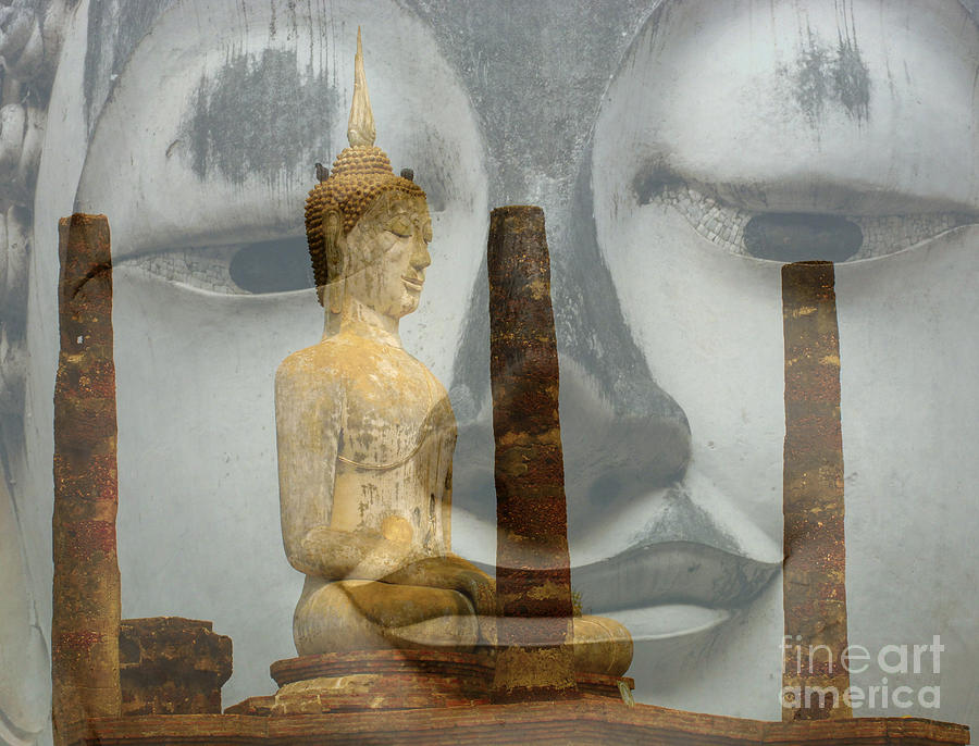 Buddha Looks On Photograph by Bob Christopher