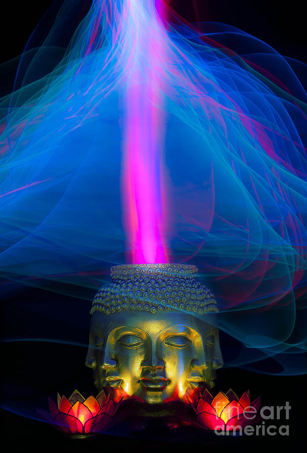 buddha lotus light