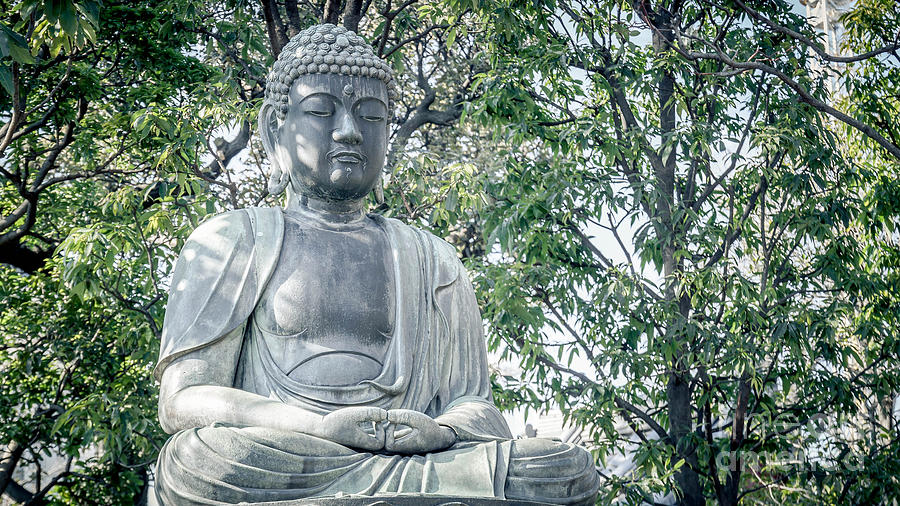 Buddha Mida-no-jouin Meditation Mudra Photograph by Jennifer Stinson ...