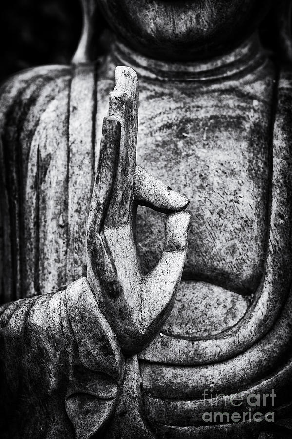 Buddha Mudra Photograph by Tim Gainey