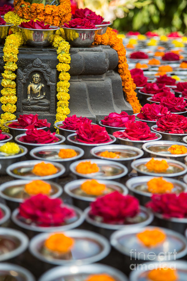 Flower Photograph - Buddha Offerings by Mindah-Lee Kumar