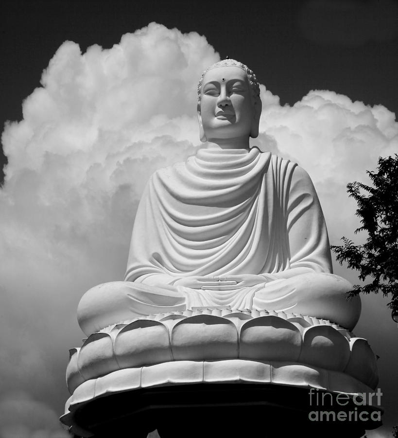 Buddha on a Hill Photograph by Shirley Mangini
