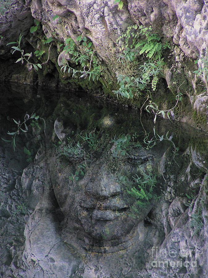 Buddha - Reflection Ojai Photograph by Valerie Freeman