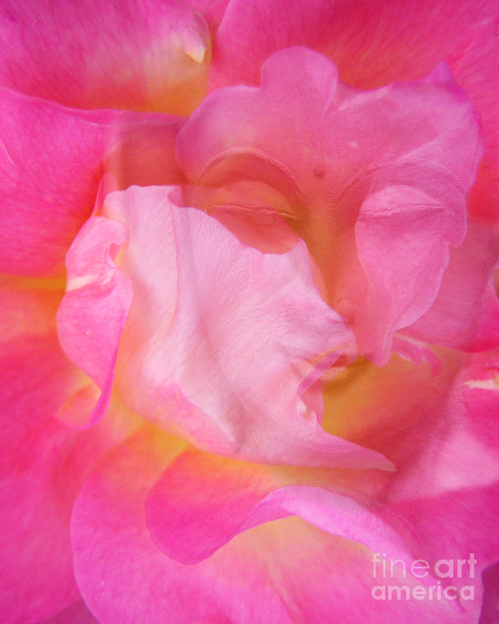 Buddha Rose Digital Art by Valerie Freeman