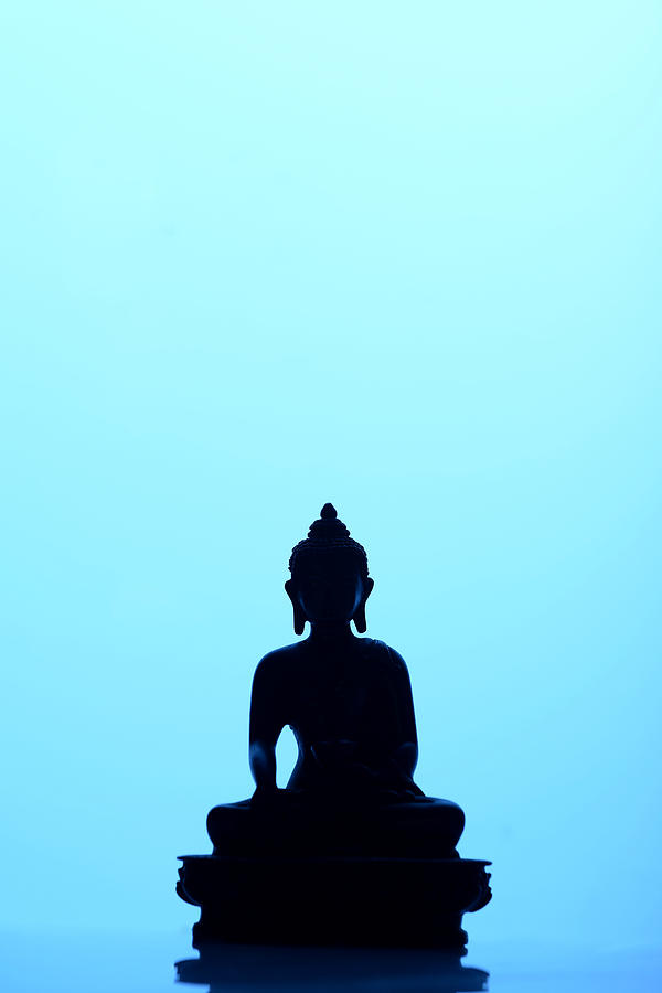Buddha Photograph - Buddha Silhouette by Niteen Kasle