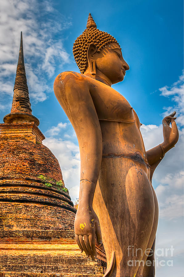Buddha Photograph - Buddha Statue by Adrian Evans