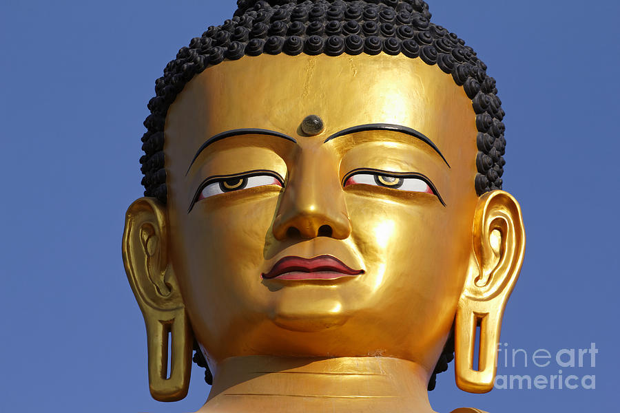 Buddha Statue at the Buddha Park in Kathmandu Nepal Photograph by Robert Preston
