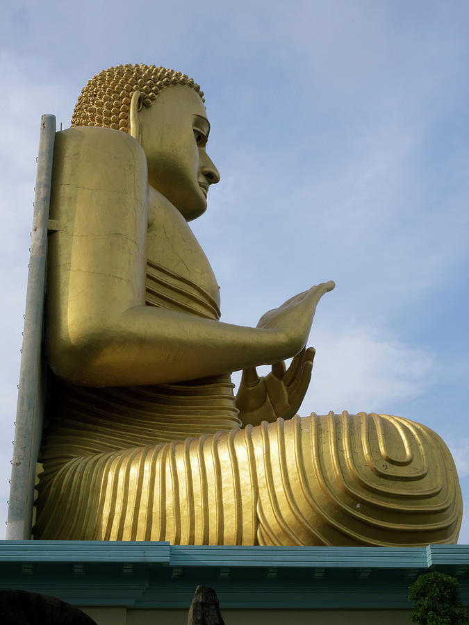 Buddha Photograph - Buddha Statue Atop Golden Temple Museum by Panoramic Images