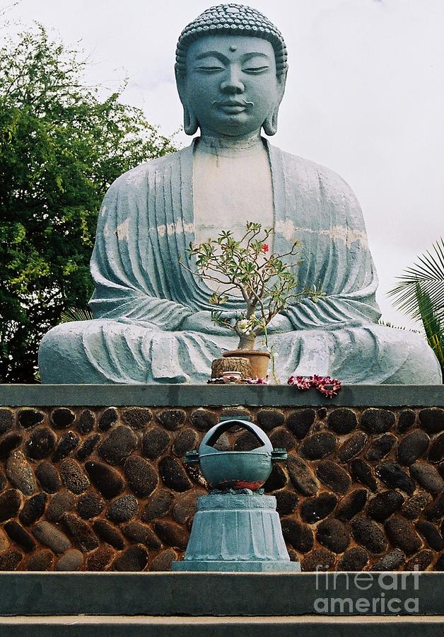 Buddha Statue, Maui Vision # 1 Photograph by Marcus Dagan