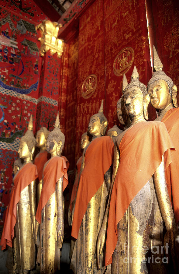 City Photograph - Buddha statues Luang Prabang Laos by Ryan Fox