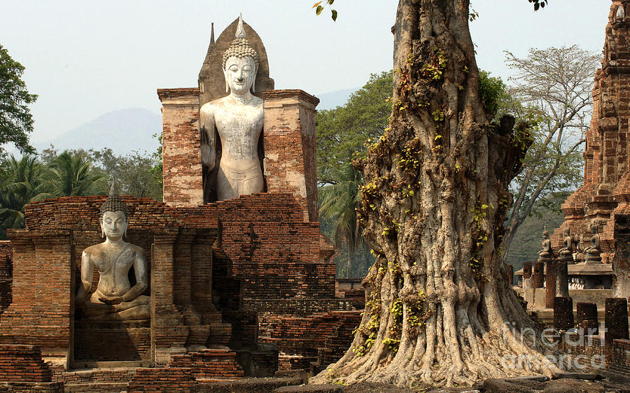 Buddha Sukhothai Thailand 4 Photograph by Bob Christopher