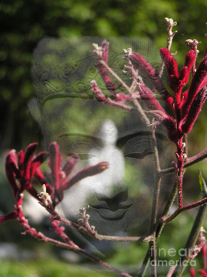 Buddha Transition Digital Art by Valerie Freeman