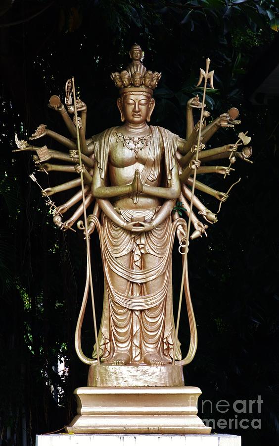 Buddha with Many Arms Photograph by Craig Wood