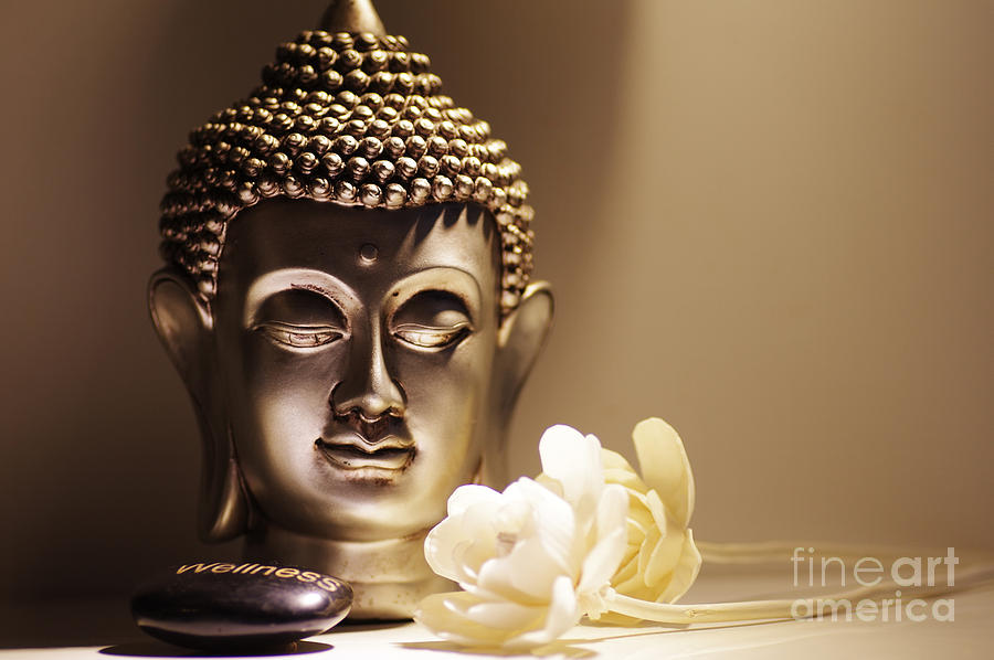 Buddha Photograph - Buddha with white Rose by Tanja Riedel
