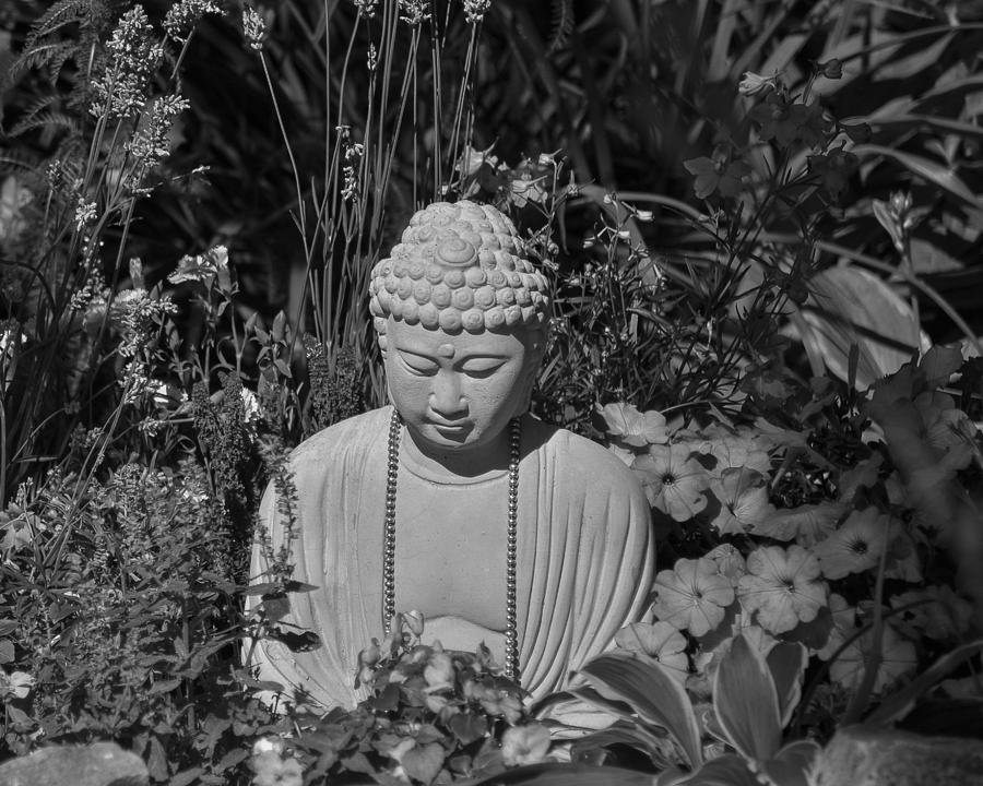 Buddha's Garden in Black and White Photograph by Maria Suhr - Fine Art ...