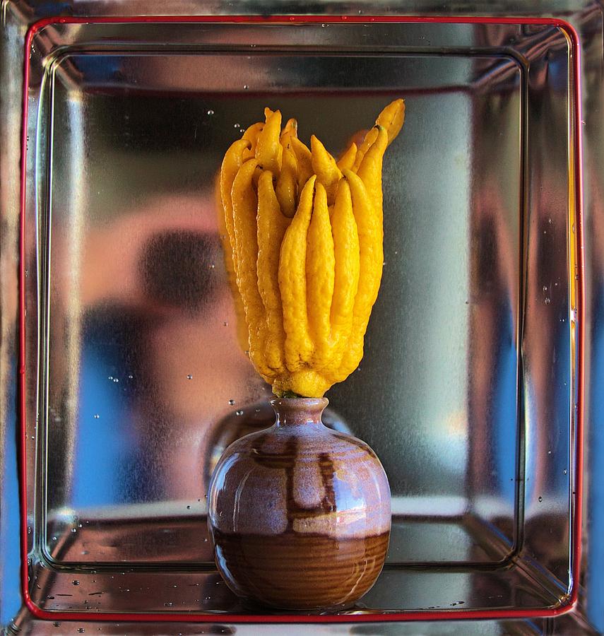 Fruit Photograph - Buddhas hand by Viktor Savchenko