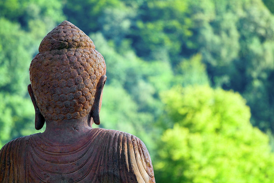 Buddhas View Into Greenery Photograph by Justhavealook