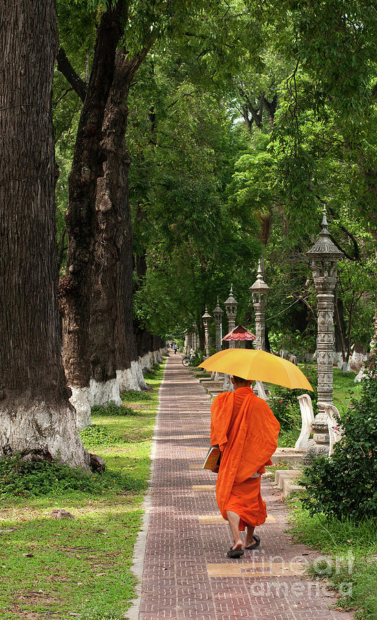 Buddhist Monk 01 Photograph by Rick Piper Photography