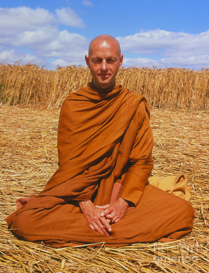 Buddhist Monk Meditating Photograph by David Parker and SPL