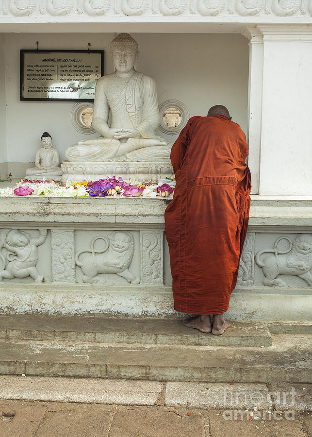 Buddhist monk praying Photograph by Patricia Hofmeester