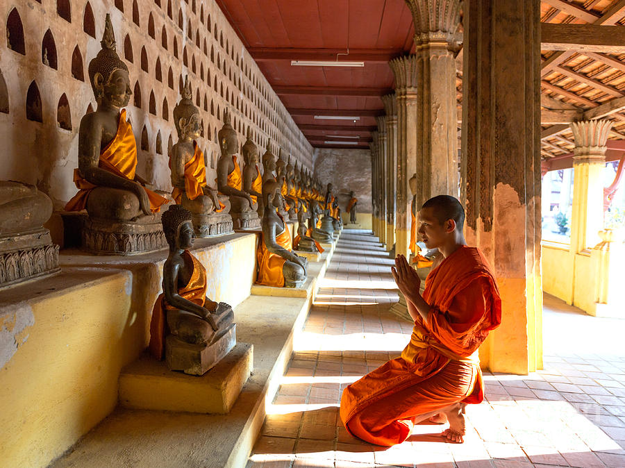 Buddhist monk praying - Wat Sisaket temple - Vientiane - Laos Photograph by Matteo Colombo