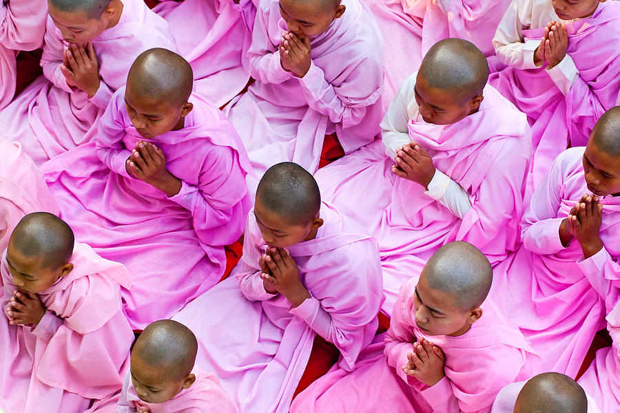 Buddhist nuns at prayer in Myanmar Photograph by