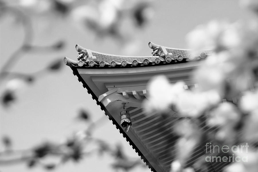 Buddhist Temple in Black and White - Roof Tile Details Photograph by Beverly Claire Kaiya