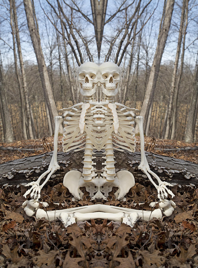 Skeleton Photograph - Budding Buddies by Betsy Knapp