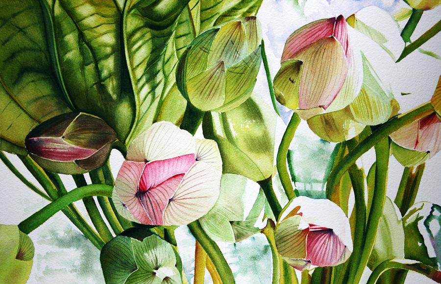 Lotus Painting - Budding Lotus by Sarah Bent