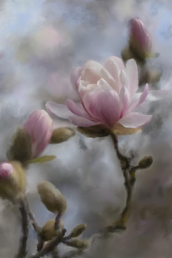 Magnolia Movie Digital Art - Budding Magnolia Branch by Karen Forsyth
