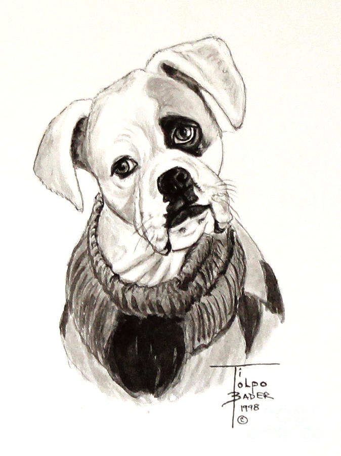 Dog Painting - Buddy the Boxer by Art By - Ti   Tolpo Bader