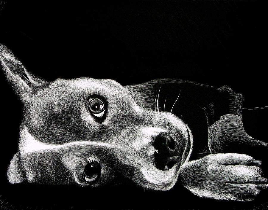 Animal Painting - Buddy by Bryan Horn